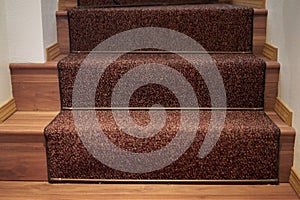 Carpeted Wood stairs.