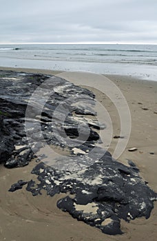 Carpinteria Beach, Tar Pit Park, Central Coast