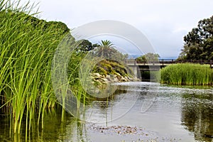 Carpinteria California beach river photo