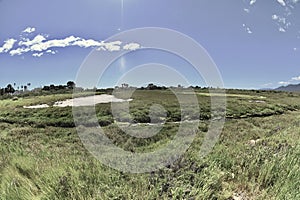 Carpinteria California Salt Marsh 2024 1