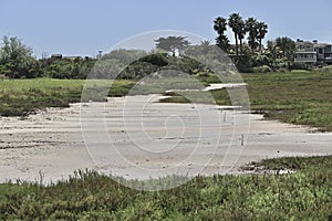 Carpinteria California Salt Marsh 2024 3