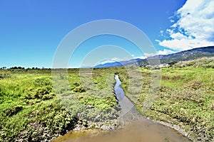 Carpinteria California Salt Marsh 2024 6