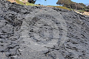 The Carpinteria California Tar Pits, 12.