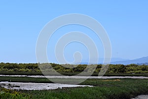 Carpinteria Salt Marsh Nature Park, 1.