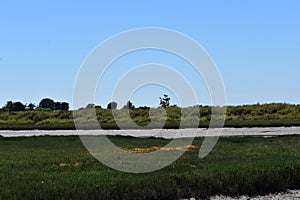 Carpinteria Salt Marsh Nature Park, 5. photo