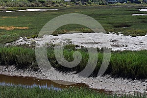 Carpinteria Salt Marsh Nature Park, 8. photo