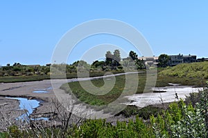 Carpinteria Salt Marsh Nature Park, 12. photo