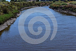 Carpinteria Salt Marsh Nature Park, 15. photo