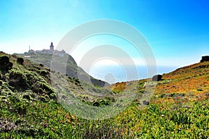 Carpobrotus Edulis meadow surrounding Cabo da Roca lighthouse in Portugal