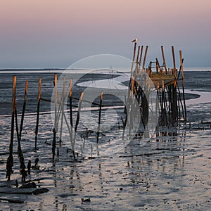 Carrasqueira Palafitic Pier in Comporta, Portugal at sunset