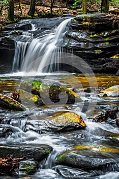 Carreck Creek Falls