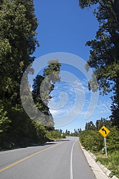 Carretera austral in chile