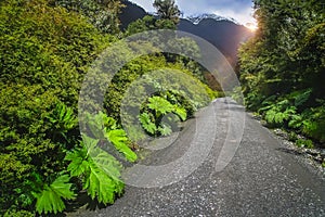 Carretera Austral road