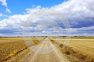 Carretera Boadilla del Camino - Itero de la Vega photo