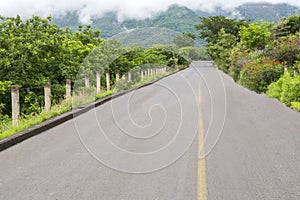 Carretera rodeada de naturaleza photo