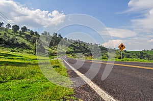 Rural road crossing a Mexican field photo