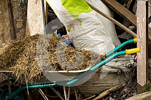 Carretillo Loaded with animal excrement used for compost photo