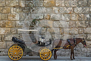 Carriage