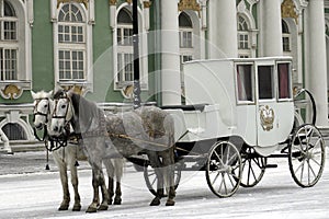 The carriage