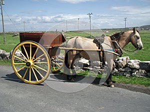 Carriage on Aran Islands photo