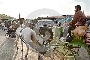 Horse-drawn carriage with coachman at Jemaa el-Fnaa square, Marrakech, Marrakesh, Morocco