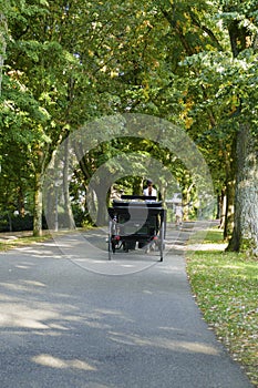 Carriage drives in the Lichtentaler Allee in Baden-Baden