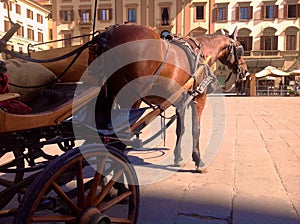 Carriage in Florenze