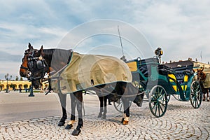 Carriage at Hofburg palace in Vienna, Austria