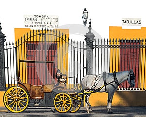 Carriage with a horse