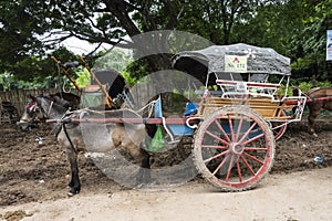 Carriage with horse, Burmese