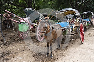 Carriage with horse, Burmese