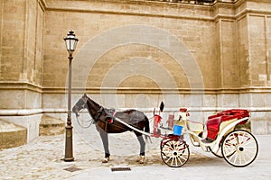 Carriage with horse in Majorca cathedral in Palma