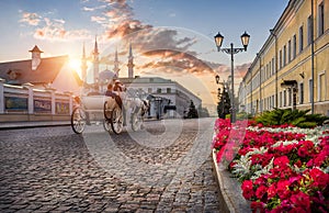 The carriage and horse rides on the pavement