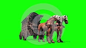 Carriage Horses Green Screen 3D Rendering Animation