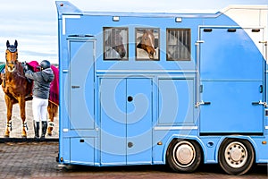 Carriage for horses . Horse transportation