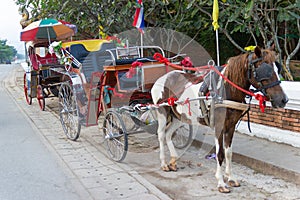 CARRIAGE HORSES STATION Lampang THAILAND