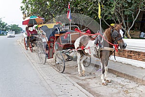 CARRIAGE HORSES STATION Lampang THAILAND