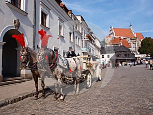 Carriage, Kazimierz Dolny, Poland