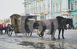 Carriage near the Winter Palace.