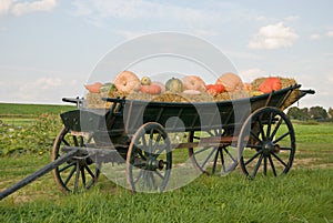 Carriage with pumpkins