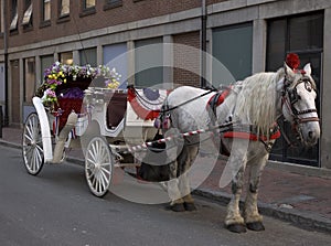 Carriage ride