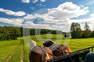 Carriage ride in Masuria