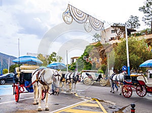 Carriage Rides in Mijas in the Alpujarra Mountains above the costa del Sol