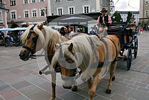 Carriage rides