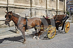 Carriage in Seville photo