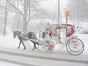 Carriage in the snow