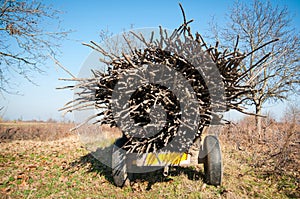 Carriage with twigs