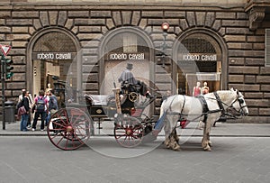 Carriage with white horses in the front of Roberto Cavalli store