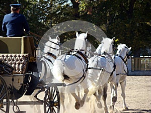 Carriage and white six