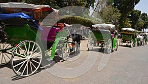 Carriages en Marrakech, Morocco